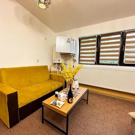 Golden Escape - Charming In Prime Location Apartment Craiova